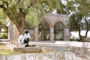 קבר רבן-גמליאל