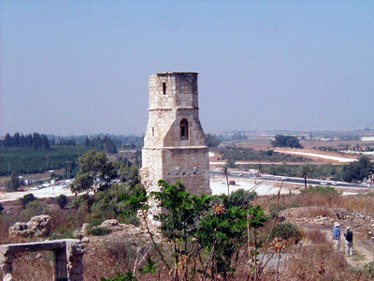 תל יבנה