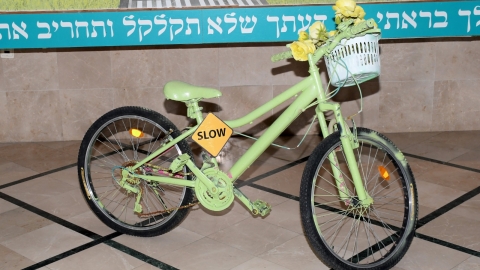 זהירות בדרכים (3).jpeg