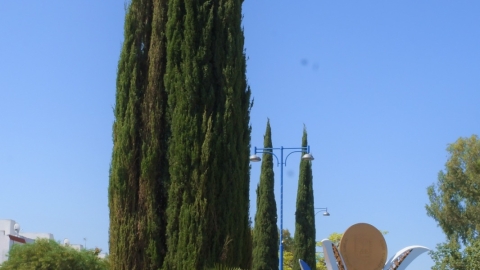 טקס יום הניצחון ביבנה (1).jpeg