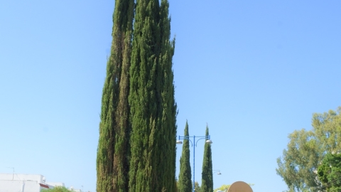 טקס יום הניצחון ביבנה (2).jpeg