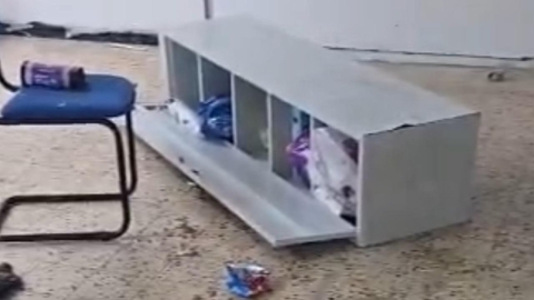 נדליזם3.jpeg