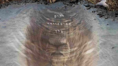 שלישי מהסרטים (5).jpeg