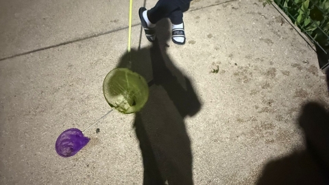 פקחי העירייה מנעו פגיעה בדגים בפארק השרון (3).jpeg